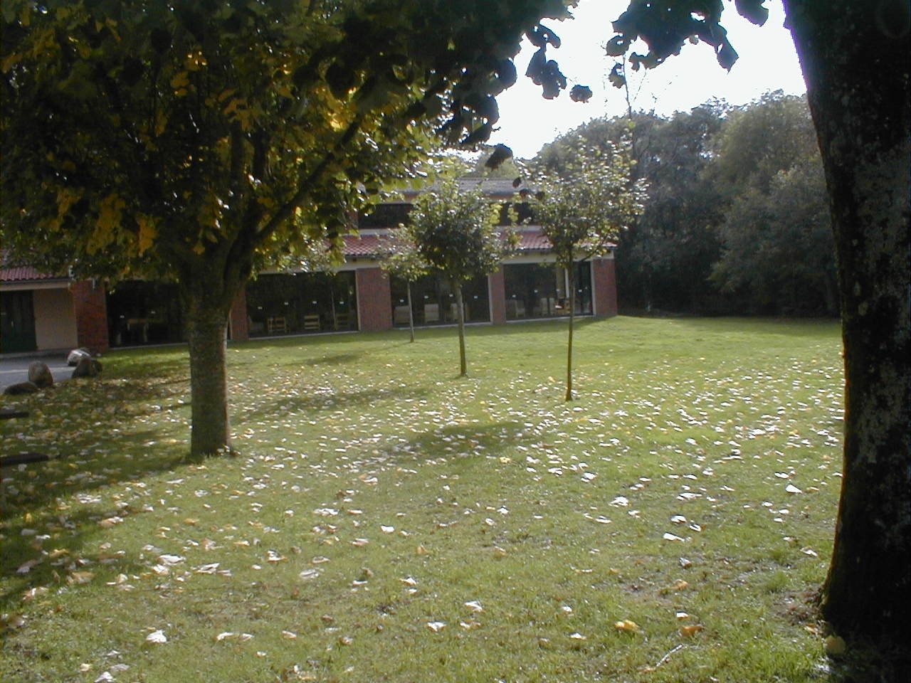 Petit pré devant la grande salle d'activités